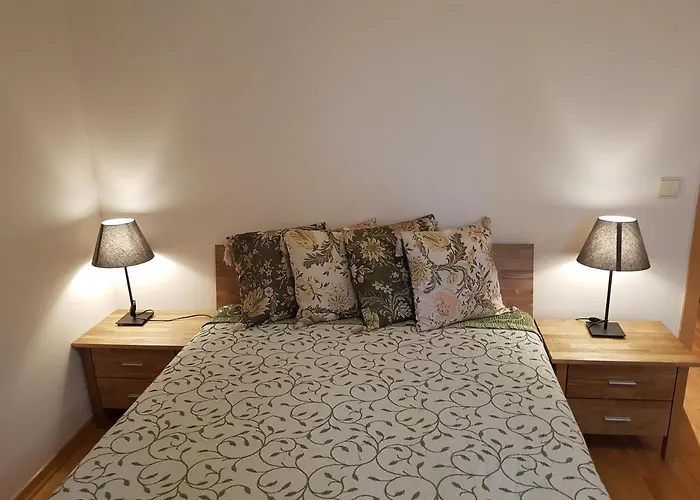 Aqua Apartamentai Prie Aqua Parko Druskininkai