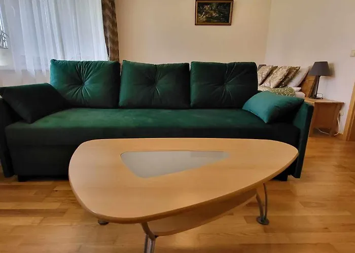 Aqua Apartamentai Prie Aqua Parko * Druskininkai