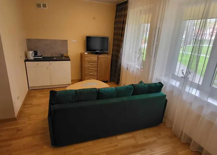 Aqua Apartamentai Prie Aqua Parko Apartamento Druskininkai