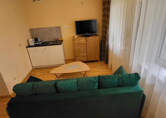 Aqua Apartamentai Prie Aqua Parko Druskininkai